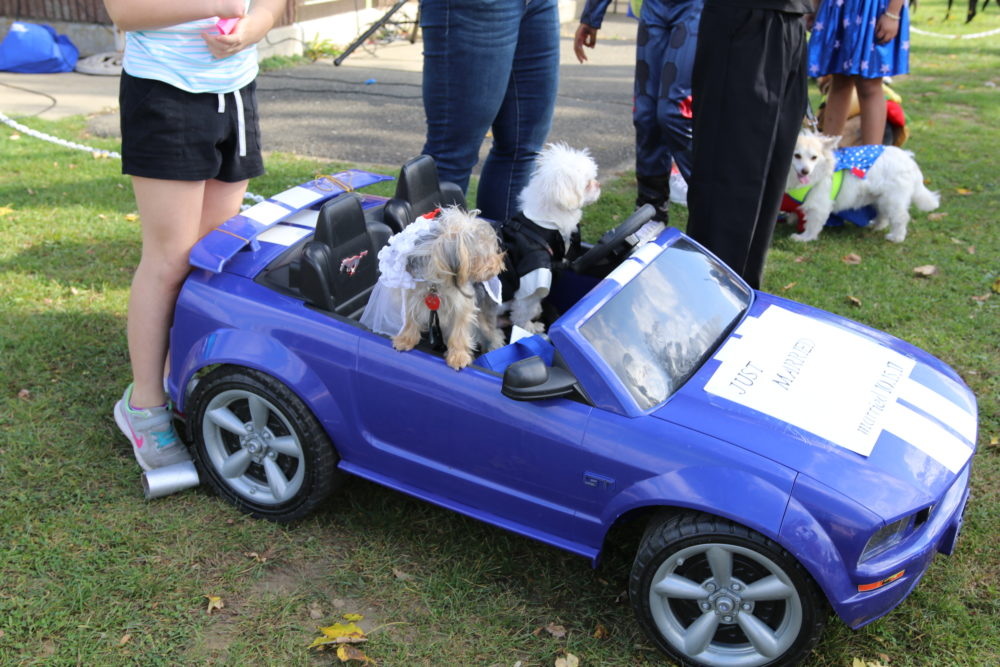 Pet Costume Contest - NC Pet Expo