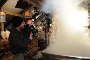 Maple Sugaring for Kids & Families in Connecticut
