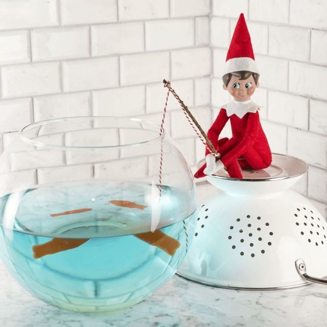 Elf on the Shelf ideas!