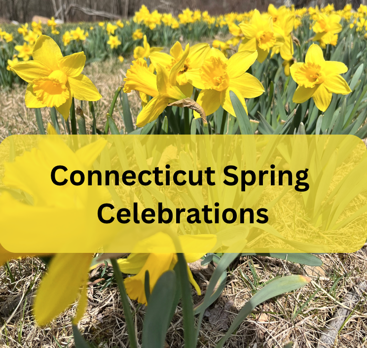 Connecticut CT Spring Celebrations