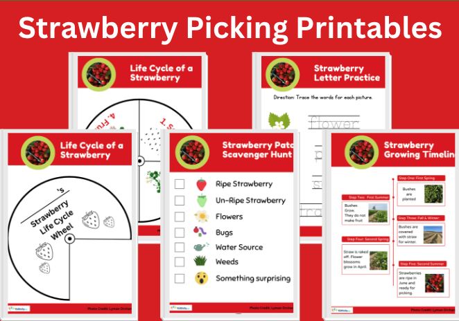 Strawberry picking printables