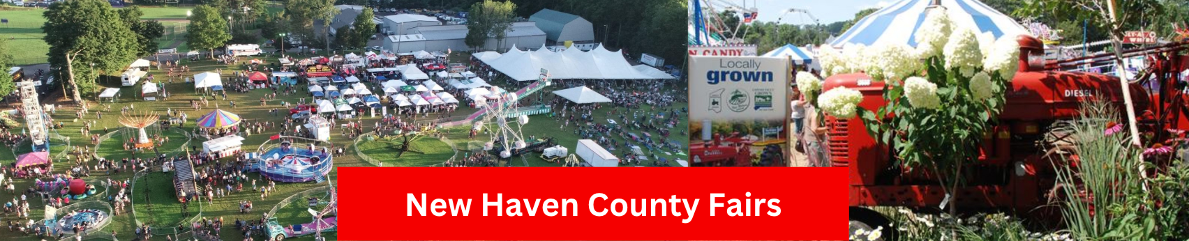 New Haven Fairs