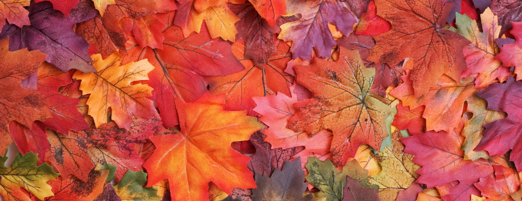 10 Best Leaf Peeping Spots in Connecticut
