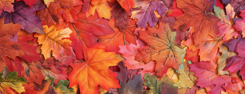 Fall Leaf Header