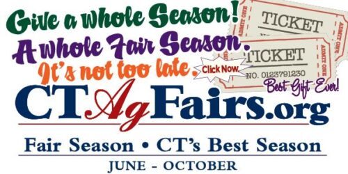 Family Activities in Connecticut
