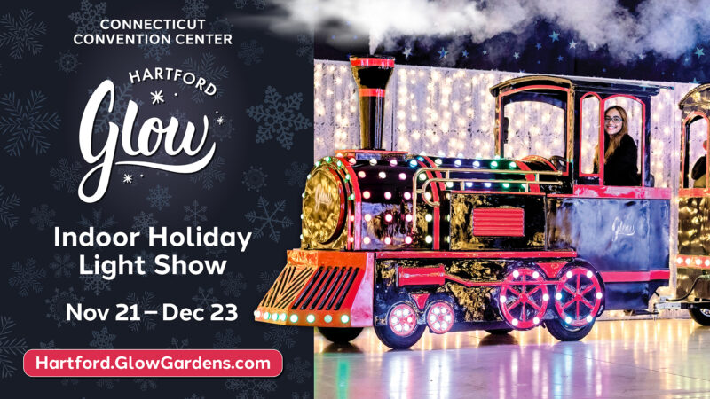 Indoor Holiday Light Show