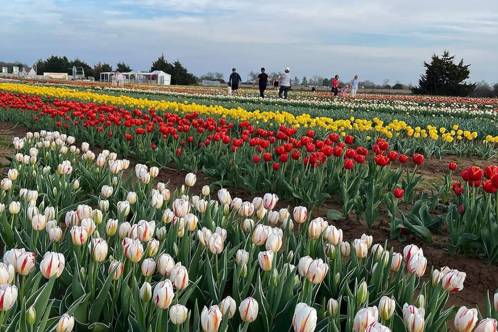 100 Things to Do with Kids In Connecticut This Spring