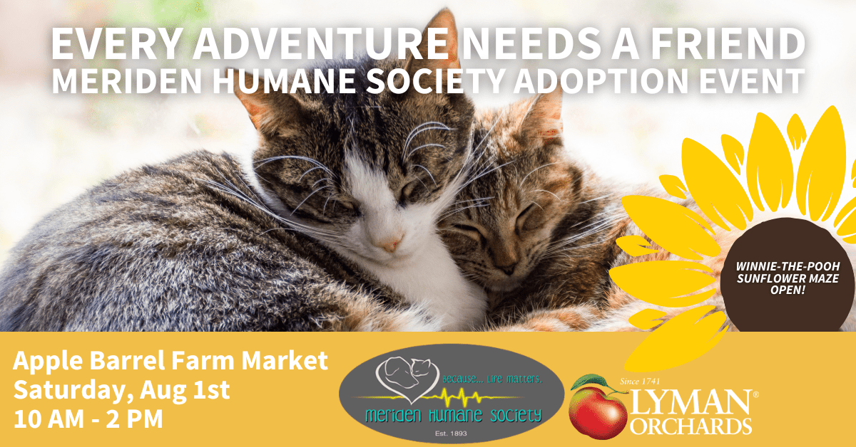 Pet adoption events Connecticut